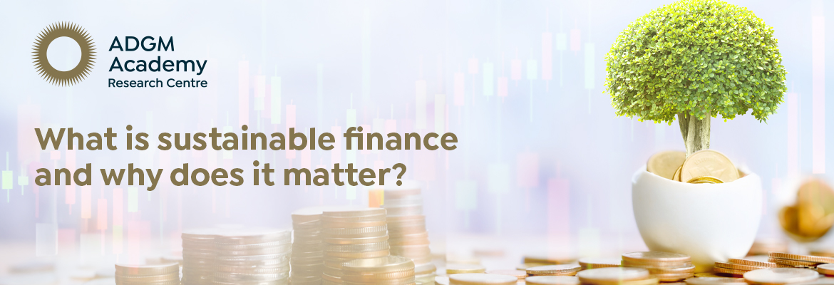 What is sustainable finance and why does it matter