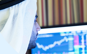 UAE Financial Rules and Regulations Programme