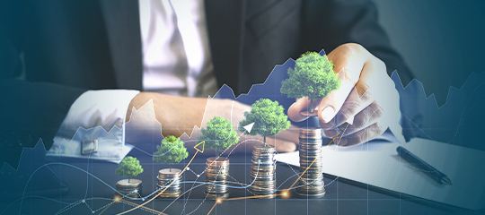 School of Sustainable Finance